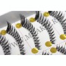 wmlashes_10pairs_50003.jpg