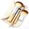 wm_brushes_4_eco0.jpg