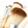 wm_brushes_4_eco1.jpg