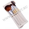 wm_brushes_5_eco1.jpg
