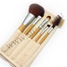 wm_brushes_5_eco6.jpg