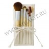 wm_brushes_5_eco7.jpg