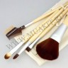 wm_brushes_5_eco8.jpg