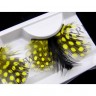 wmfeather_lashes_dot_plus01.jpg