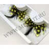 wmfeather_lashes_dot_plus02.jpg