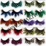 wm_dotted_lashes.JPG