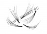 watermarked_cluster_lashes0.jpg