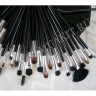 wm_brushes32_blackcase6.jpg