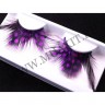 wmfeather_dot_plus_violet01.jpg
