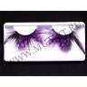 wmfeather_dot_plus_violet04.jpg