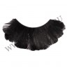 wmfich_feather_lashes08.jpg