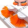 wm_neon_lashes2hmdo4qy5.jpg