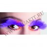 wmfich_feather_lashes0248hgte.jpg