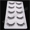 wm_lashes_10pairs_hw08.jpg