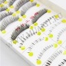 wm_lashes_10pairs_h08_1.jpg