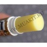 wm_sierrabees_1t02b.jpg