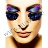 wmfich_feather_lashes169h2f9dta8a2v.jpg