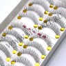 wm_lashes_10pairs_218clear1.jpg