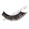 wm_lashes_033_000.JPG