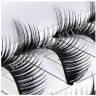 wm_lashes_033_0.JPG