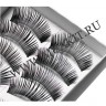 wm_lashes_034_0.jpg