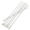 wm_blackhead_stick1.jpg