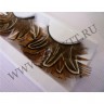 wmbird_feather_lashes44.jpg