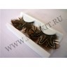 wmbird_feather_lashes47.jpg