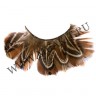 wmbird_feather_lashes100.jpg