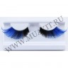 wm_blueblack_cat01.jpg