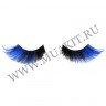 wm_blueblack_cat03.jpg