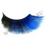 wm_blueblack_cat0.jpg