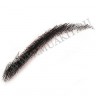 wm_fake_brow_34_1z3.jpg