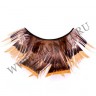 wmbird_feather_lashes110.jpg