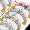 wm_lashes_216.3.jpg