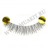 wm_lashes_10pairs_216.000.jpg