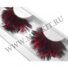 wmbird_feather_lashes1.jpg
