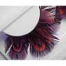 wmbird_feather_lashes16.jpg