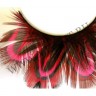 wmbird_feather_lashes23.jpg