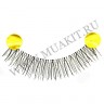 wm_lashes_10pairs_217.000.jpg
