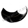 wm_black_long00.jpg