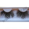 wmbird_feather_lashes17.jpg