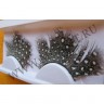 wmbird_feather_lashes19.jpg