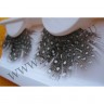 wmbird_feather_lashes24.jpg