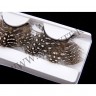 wmbird_feather_lashes33.jpg