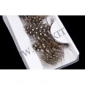 wmbird_feather_lashes34.jpg
