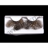 wmbird_feather_lashes35.jpg