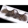 wmbird_feather_lashes38.jpg