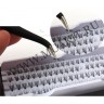 wm_cluster_lashes5o5.jpg