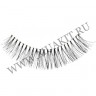 wmlashes_10pairs_hs-70.jpg